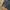 baggy y2k big pocket photo 5