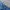Lee Casual Sweatshirt Pria navy blue photo 3
