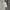 Nike Sportswear Casual Hoody Pria gray photo 5