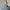 Crocs Classic Atmoshphere (Sendal Pria Dan Wanita UNISEX) photo 5