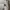 GAP Casual Outerwear Kids white photo 4