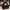 Hard Rock Cafe Vintage Casual Belt Pria black photo 2