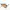 KACAMATA (SUNGLASSES) FAHSION LUXURY CHANEL 5203 TORTORIS 