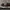 Converse pro blaze plus black red  photo 1