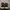 Converse pro blaze plus black red  photo 3