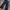 NotBadClub,jeans baggy multi style photo 1