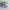 Crocs Classic Grey photo 7
