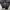Champion jogger trackpant parachute photo 7