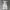 Champion trackpant parachute photo 7