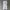 Champion trackpant parachute photo 1