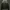 JACKET FATDOG BOMBER PERASUT KERAH BULU ARMY photo 1