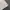 Adidas Sportswear Casual Jersey Pria white photo 4