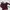 Atasan knit wear MAROON lengan panjang photo 1
