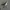 Sendal slop hak kaca photo 3