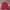 Vintage LL Bean Paisley Red Denim Jacket photo 6