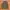United Colors of Benetton parka coat Jacket photo 1