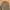 United Colors of Benetton parka coat Jacket photo 4