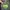 Tas Crumpler The Private Zoo Backpack Tas Punggung photo 4