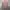 Marc Jacobs Look Blouse Tops photo 8