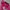 Streetwear Jersey Wanita pink photo 8