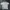 Champion Casual T-shirt Pria Gray