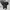 RARE Dickies High Top Canvas Full Black Original photo 2