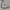 Adidas Vintage Sportswear Jersey Pria white navy photo 7