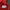 Nike Sportswear Casual T-shirt Pria red photo 3