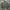 Casual Harington Jacket Vintage Club photo 1
