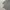 Japanese brand Minimalist Casual Casual shirt Pria gray photo 3