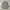 Japanese brand Minimalist Casual Casual shirt Pria gray photo 1