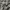 Thruxton Goth Casual Casual shirt Pria white black photo 3
