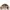 Casual Outerwear Kids tan brown photo 3