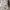 Casual Outerwear Kids tan brown photo 4