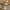 Nike Air Max 97 LX Metallic Gold photo 5
