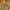 Nike Air Max 97 LX Metallic Gold photo 3
