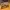 Nike Air Max 97 LX Metallic Gold photo 4