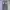 BAGGY JEANS FADING LIGHT GRAY WASH   photo 4