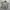 Ralph Lauren Blaire Khaki Shirt photo 2