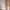 Cream Maxi Dress photo 3