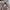 WHO.A.U Streetwear Casual Sweater Pria brown photo 5