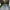 Tas Crumpler The Low Level Aviator Backpack Tas Punggung photo 3