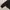 Adidas Sportswear Casual Sweatshirt Wanita black photo 4