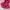 Cute Pink Lace Tanktop Vintage Y2K Coquette Fairy photo 6