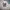Carhartt Casual Hoody Pria white photo 2