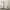 Carhartt Casual Hoody Pria white photo 6