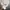 Carhartt Casual Hoody Pria white photo 7