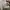 Carhartt Casual Hoody Pria white photo 8