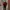 LMC Minimalist Casual Sweatshirt Pria red photo 1
