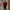 LMC Minimalist Casual Sweatshirt Pria Red